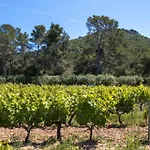 Domaine De La Navicelle - Pinot * Le Pradet