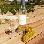 Domaine De La Navicelle - Pinot Le Pradet